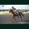Course 2 12/06/2026
