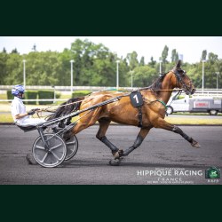 Heat Course 2 16/06/2026