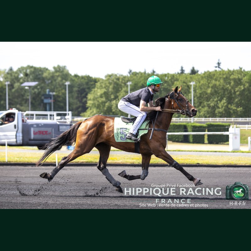 Heat Course 3 16/06/2026