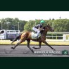 Heat Course 3 16/06/2026