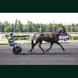 Heat Course 4 16/06/2026