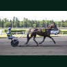 Heat Course 4 16/06/2026