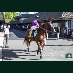 Course 5 16/06/2026