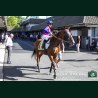 Course 5 16/06/2026
