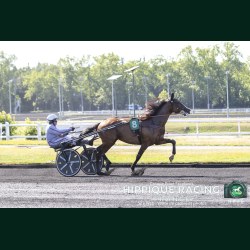 Heat Course 6 16/06/2026