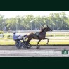 Heat Course 6 16/06/2026