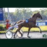 Heat Course 8 16/06/2026