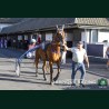 Course 8 16/06/2016