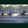 Course 6 19/06/2026