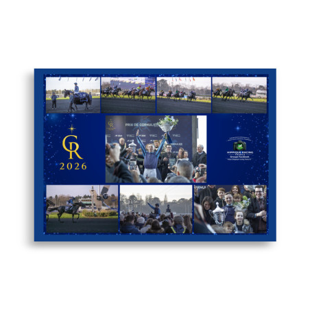 Poster 50X70 La course Prix du cornulier 2026 - photos course hippodr…