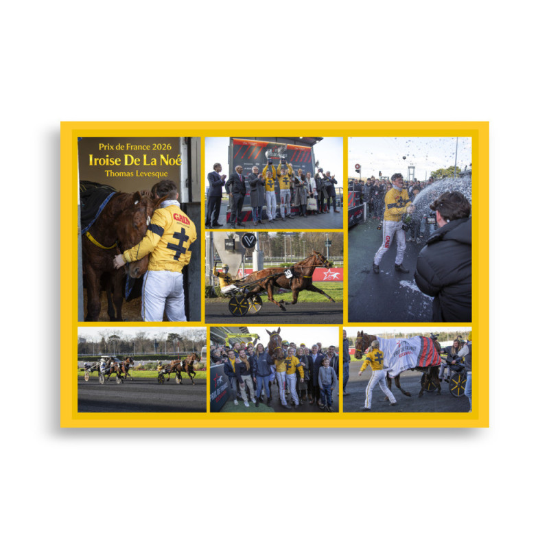 Poster 50X70 La course Prix de France 2026 - photos course hippodrome…