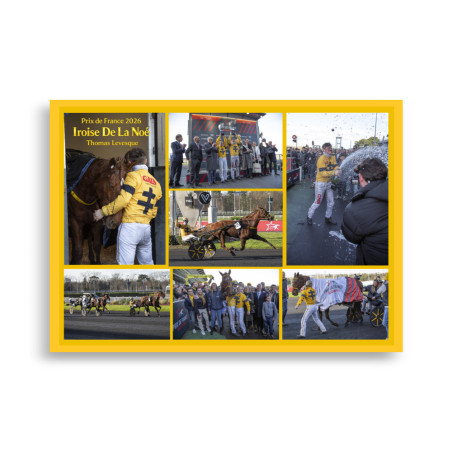 Poster 50X70 La course Prix de France 2026 - photos course hippodrome…
