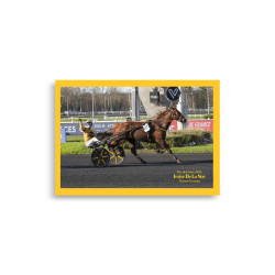 Poster 21X30 Arrivée Prix de France 2026 - photos course hippodrome p…