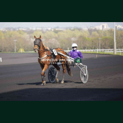 Course 3 21/03/2026 - photos course hippodrome paris vincennes trot