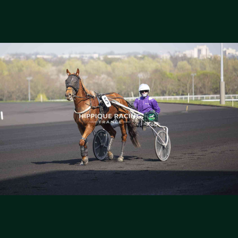 Course 3 21/03/2026 - photos course hippodrome paris vincennes trot