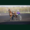 Course 3 21/03/2026 - photos course hippodrome paris vincennes trot