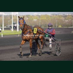 Course 4 21/03/2026 - photos course hippodrome paris vincennes trot
