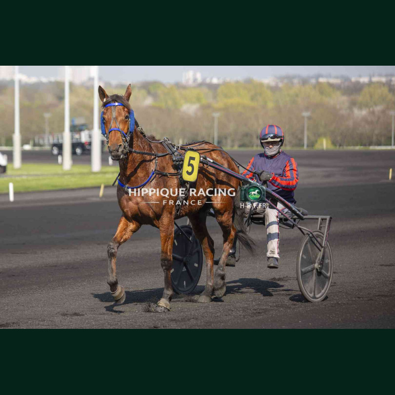 Course 4 21/03/2026 - photos course hippodrome paris vincennes trot