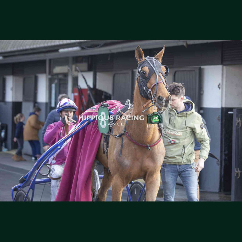 Course 6 21/03/2026 - photos course hippodrome paris vincennes trot