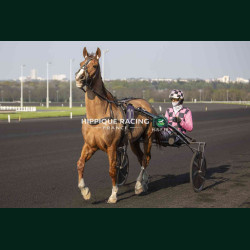Course 7 21/03/2026 - photos course hippodrome paris vincennes trot