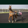 Course 7 21/03/2026 - photos course hippodrome paris vincennes trot