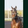 Course 8 21/03/2026 - photos course hippodrome paris vincennes trot