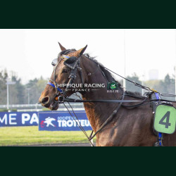 Course 9 21/03/2026 - photos course hippodrome paris vincennes trot