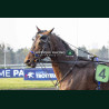 Course 9 21/03/2026 - photos course hippodrome paris vincennes trot