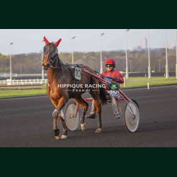 Course 10 21/03/2026 - photos course hippodrome paris vincennes trot