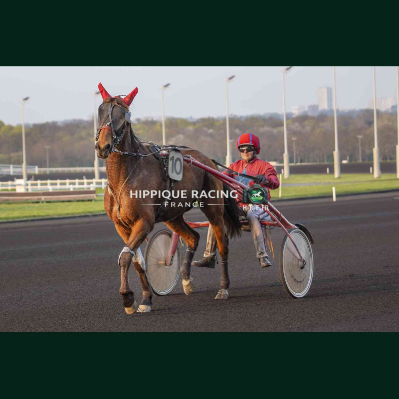 Course 10 21/03/2026 - photos course hippodrome paris vincennes trot