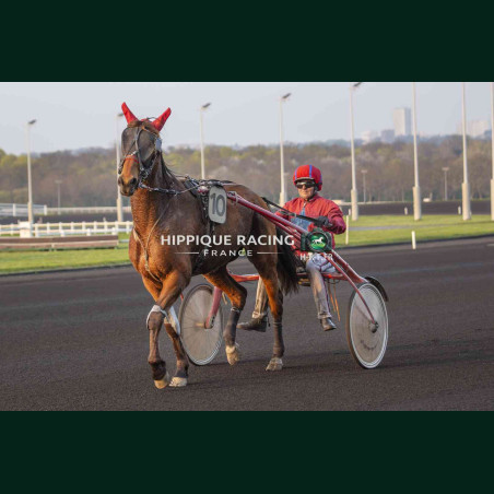 Course 10 21/03/2026 - photos course hippodrome paris vincennes trot