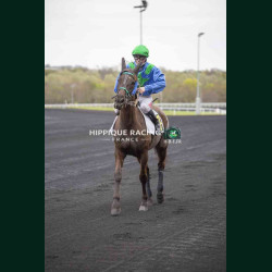Course 1 27/03/2026 - photos course hippodrome paris vincennes trot