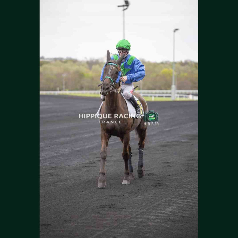 Course 1 27/03/2026 - photos course hippodrome paris vincennes trot