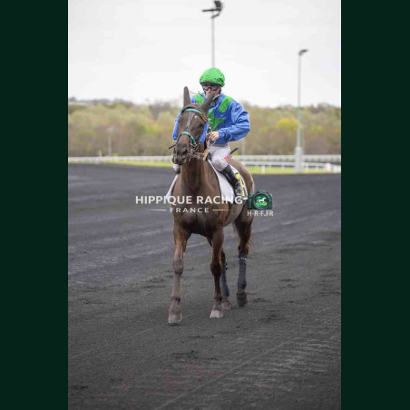 Course 1 27/03/2026 - photos course hippodrome paris vincennes trot
