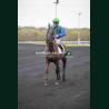 Course 1 27/03/2026 - photos course hippodrome paris vincennes trot