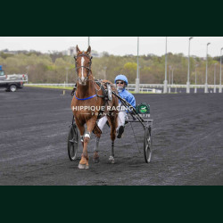 Course 2 27/03/2026 - photos course hippodrome paris vincennes trot