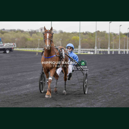 Course 2 27/03/2026 - photos course hippodrome paris vincennes trot