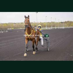 Course 3 27/03/2026 - photos course hippodrome paris vincennes trot