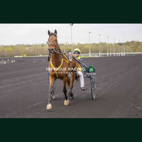 Course 3 27/03/2026 - photos course hippodrome paris vincennes trot