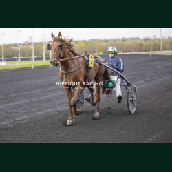 Course 4 27/03/2026 - photos course hippodrome paris vincennes trot