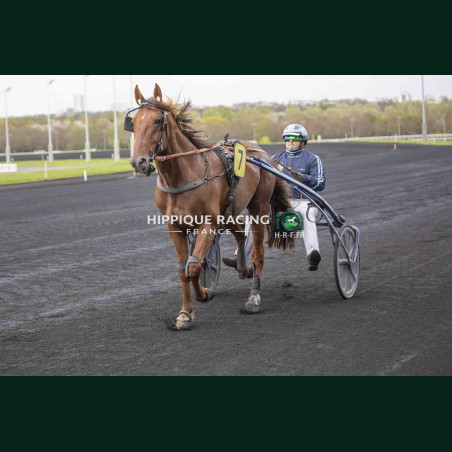 Course 4 27/03/2026 - photos course hippodrome paris vincennes trot