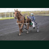 Course 4 27/03/2026 - photos course hippodrome paris vincennes trot