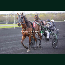 Course 5 27/03/2026 - photos course hippodrome paris vincennes trot