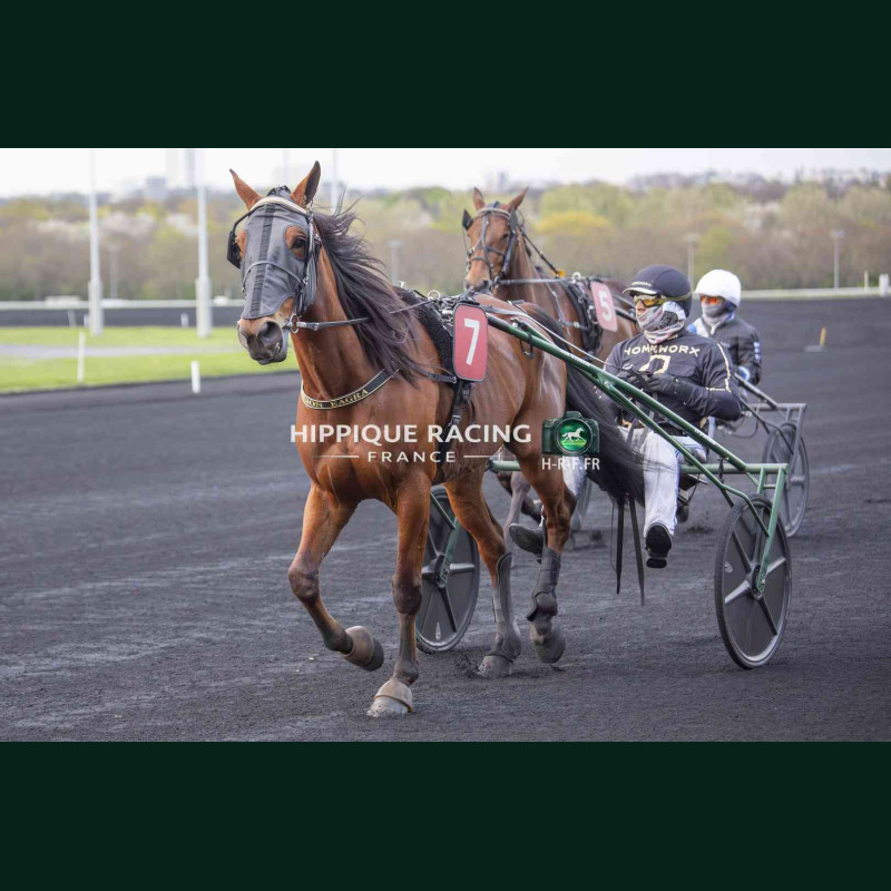 Course 5 27/03/2026 - photos course hippodrome paris vincennes trot