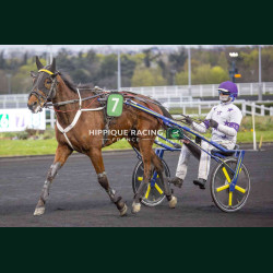 Course 6 27/03/2026 - photos course hippodrome paris vincennes trot
