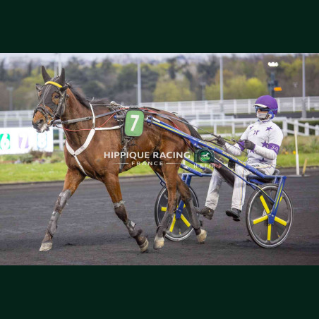 Course 6 27/03/2026 - photos course hippodrome paris vincennes trot