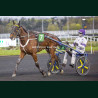Course 6 27/03/2026 - photos course hippodrome paris vincennes trot
