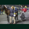 Course 7 27/03/2026 - photos course hippodrome paris vincennes trot