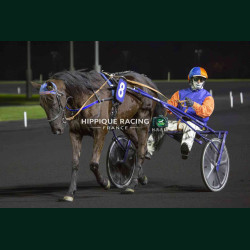 Course 8 27/03/2026 - photos course hippodrome paris vincennes trot