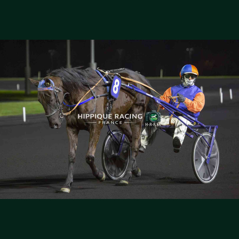 Course 8 27/03/2026 - photos course hippodrome paris vincennes trot